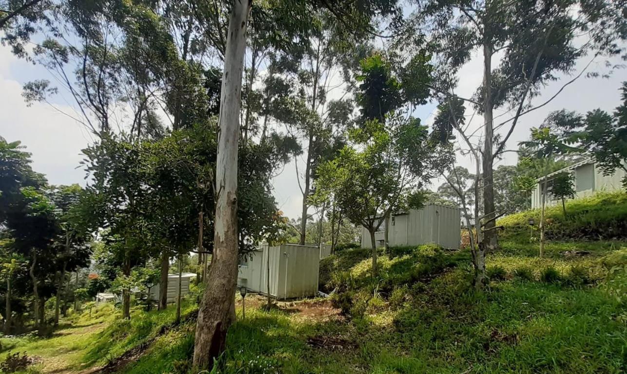 Hotel Bukit Pinus Tegalharendong Exterior photo