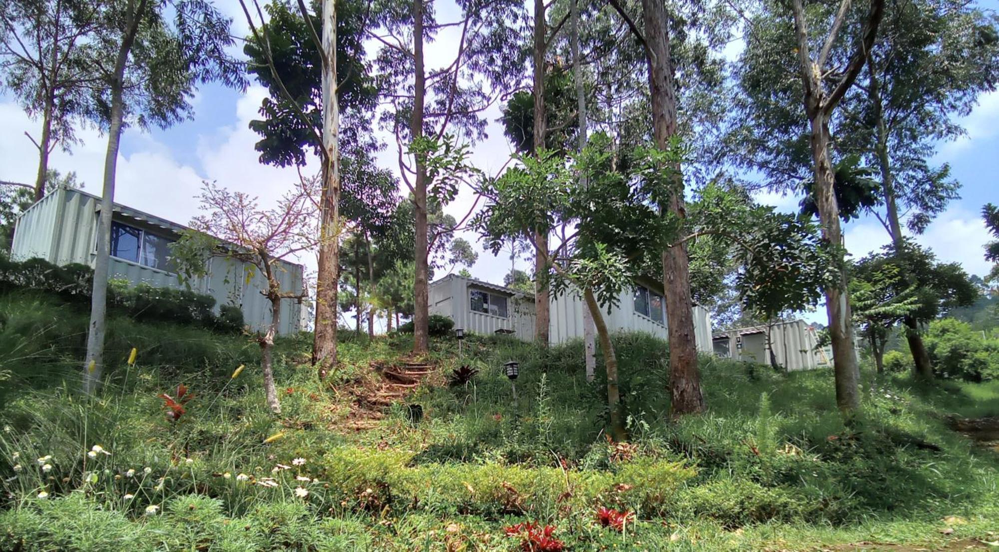 Hotel Bukit Pinus Tegalharendong Exterior photo